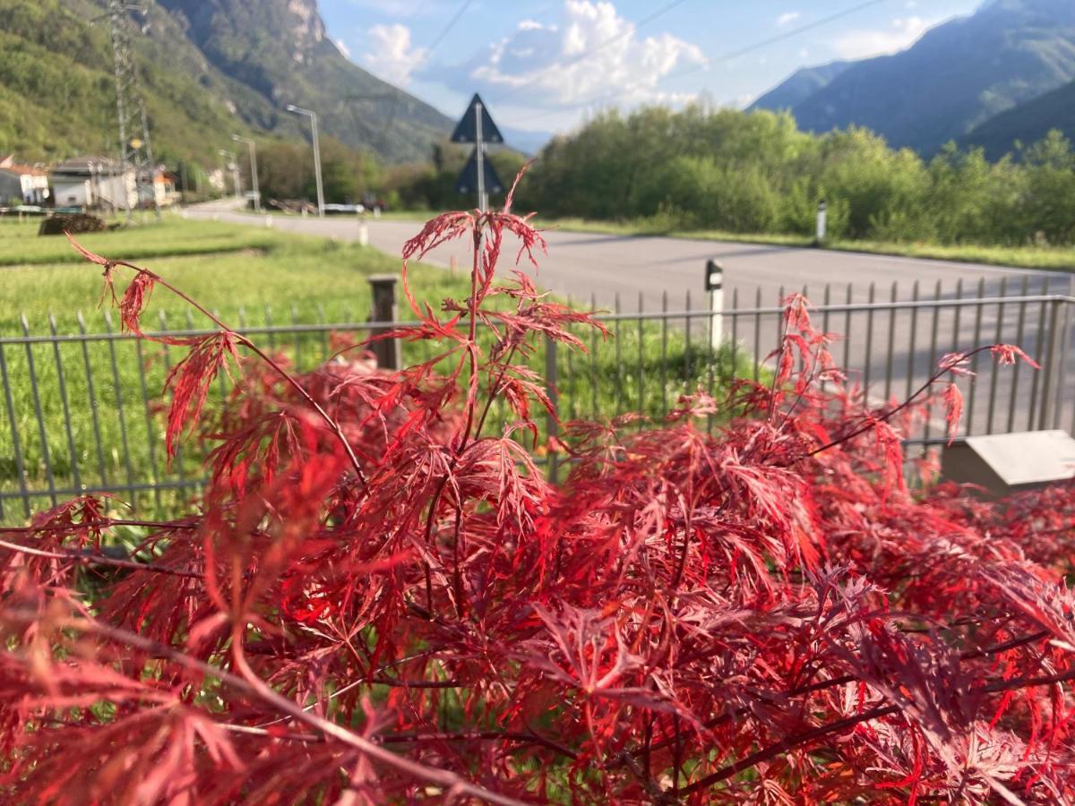 Meraki Dolomiti Longarone Exteriör bild